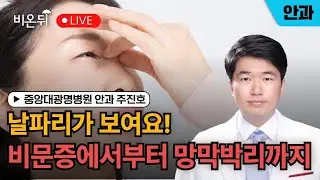 [Chung-Ang University Gwangmyeong Hospital & After the Rain] I see flies. From floaters to retina...