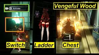 How to find the chest in Vengeful Wood room with activate switch - Genshin Impact