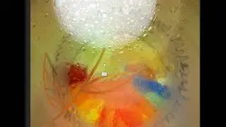 Macrofotografía artística