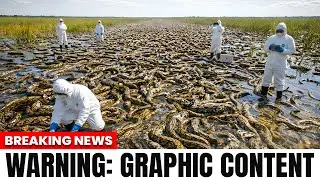 Scientists Discovered Something WORSE Than Pythons In The Everglades — And It’s ALREADY Spreading