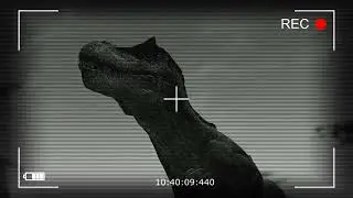 AE_HRex_CAM13-A