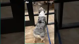 Встречают любимых