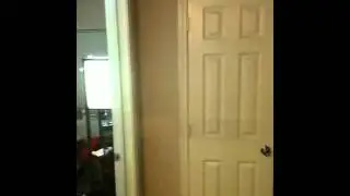 Tape Trap Set Up