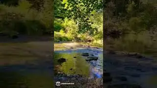 Secret Place - Dovedale - Peak District - UK | Solo Traveler