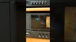 Редкий Braun a501 и Denon DCD 715 Gale G20.
