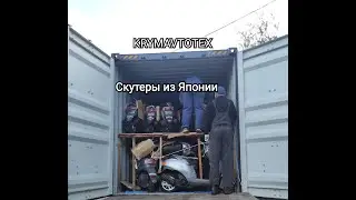 Контейнер с скутерами из Японии без пробега по России, обзор модельного ряда