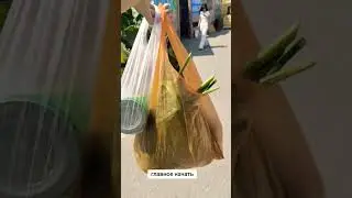 начинается сезон закруток