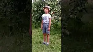 Главные реки Америки