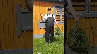 ВЛАЖНЫЕ МЕЧТЫ!  МОШЕННИЦ В КУРОВОДСТВЕ!