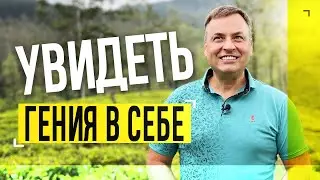 Такого урока гениальности на чайной плантации Шри-Ланки я не ожидал!