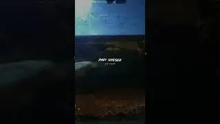 Story WhatsApp channa maru yellow sentarum
