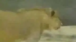 CHRISTIAN EL LEON  EN ESPAÑOL