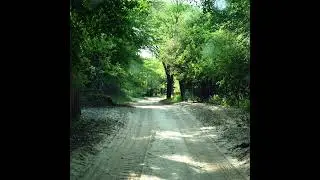 [FREE] Kidd G Country Type Beat 