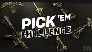 PUBG PCS SKİNS (PCS1)