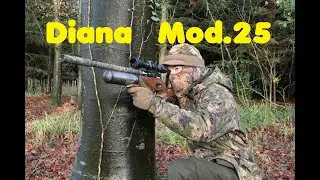 Diana Model 25 - Luftgewehr Bj. 1930 im Test