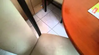 Apportierende Katze Leon