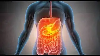 An Experiment in Digestion