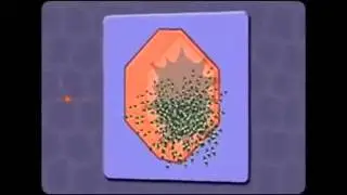 Малярийный плазмодий