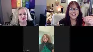 Dr. Karen Kline - Feline Neurologic Anomalies