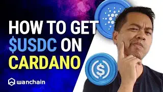 How to Get USDC to Cardano via Wanchain Bridge