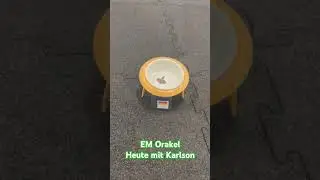 EM Orakel #emorakel #em #emdeutschland #em2024 #hunde #barßel #saterland #ammerland #cloppenburg