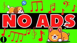 PUPPY SLEEPING MUSIC (NO ADS PART 3)