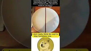 Let's pray for this man's safe homeless journey #memes #doge #shorts #meme #dogememe #funny