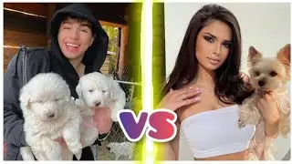 Nastya Titorenko Vs Keemokazi Comparison, Lifestyle, Relationship, Hobbies, Income, Facts, Age