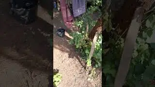ох это война