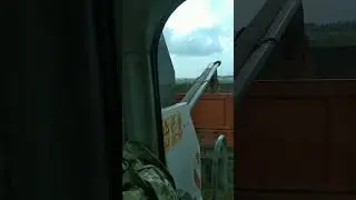 4 августа 2024 г.