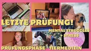 mental health in der Prüfungsphase und wie ich damit umgehe // Tiermedizin PB 4 ✅ Vlog