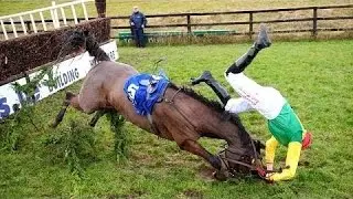 Funny Horses - A Funny Horse Videos Compilation 2016