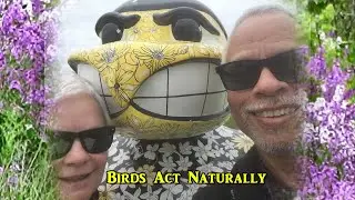 Birds Act Naturally