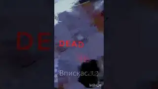 Эдит про Белискаса #эдит #wicsur #прискас #белискас #minecraft