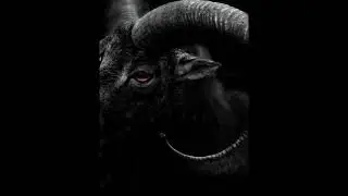 Kobra Project - B.O.D.E