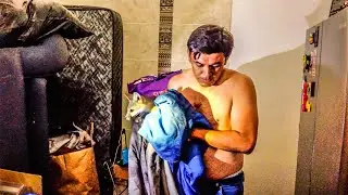 Se nos metió a la casa este Zorro Gris, quebró cosas y lo tuve que hagarrar.