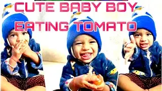 CUTE BOY EATING TOMATO / INNOCENT BABY BOY / BABY BOY SHORTS / CUTE BABY BOY WHATSAPP STATUS