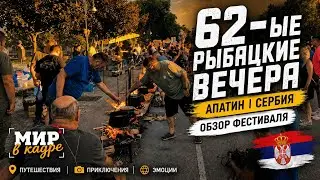 🇷🇸 62-ые Апатинские рыбацкие вечера | Апатин Сербия | Обзор фестиваля