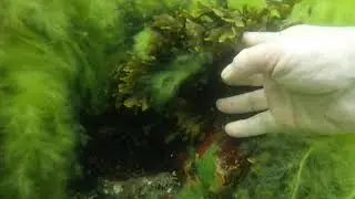 Балтійське море.