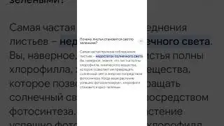 Ваш хлорофитум поблек,  причины