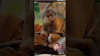 บารมีหลวงปู่ศิลา สิริจันโท #บารมีสิริจันโท