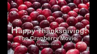 Cranberry Movie - Happy Thanksgiving