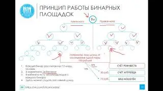 Подробный маркетинг план компании Элизиум