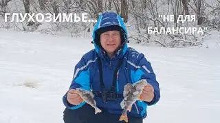 НАШЕЛ СВОЮ РЫБУ...БАЛАНСИР-ОКУНЬ КРУПНЕЕ!!!