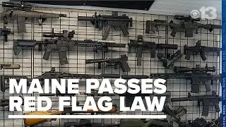 'Enough is enough': Maine voters decisively pass 'red flag' gun law