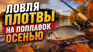 Ловля плотвы на поплавок осенью