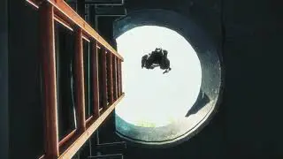 two birds (clips in desc)