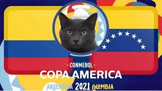 Cass the Cat - Copa América 2021 Predictions - Colombia vs Venezuela - Predicción Copa América 2021