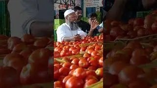 punganur tomato (MSM Mandi) 🍅🍅🍅 30/11/2023