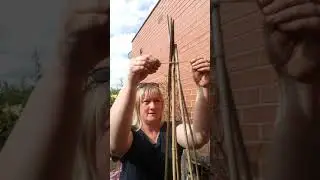 Building a wigwam plant support for the runner bean plants